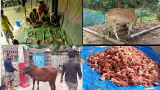 চতুর্দিকে কোরবানি|| EidulAdha