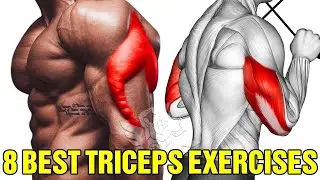 TOP 8 TRICEP EXERCISES | tricep workout | FitSuraj