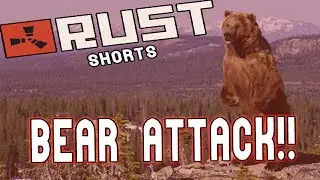 BEAR ATTACK!! (Rust Short) / ikie34