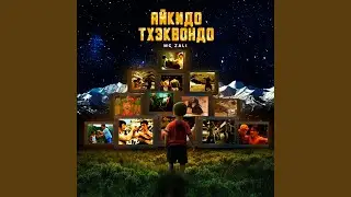 Айкидо Тхэквондо