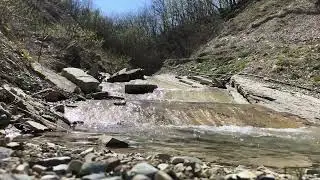 Звуки природа, пение птиц и звуки ручья