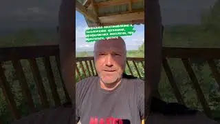 Природное омоложение, профилактика онкологии, при цистите, простптите