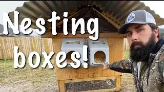 Little Giant Nesting Boxes for Chickens