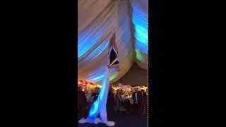 Aerial Silks Performance // Crystallise // Dayna Timmons