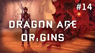 Dragon Age Origins #14