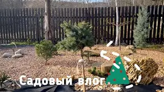 Садовый влог в январе