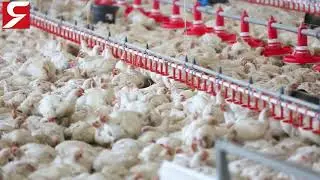 Оборудование Ятаган для очистки воздуха на пищевых производствах