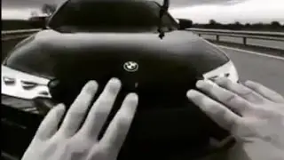 Моя дикая кассандра