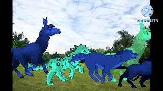 animal stampede video