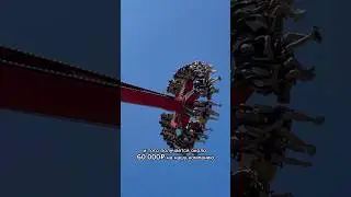 Сколько стоит отметить ДР в Сочи Парке