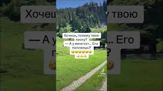 🤣🤣🤣анекдот про киску 👍👍👍