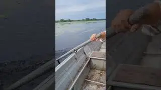 Везу мужа на рыбалку! #shorts #fishing #юмор