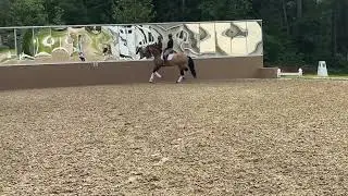 Líder Seven passage
