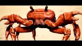 10 Hours of CRAB RAVE