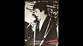 THE ROOSTERS - unreleased Vinyl Full Album（1987初回プレス) 