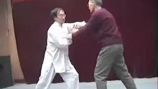 Chen Taijiquan. Master Wan Wende (万文德)