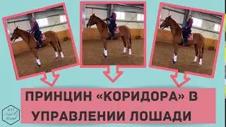 ПРИНЦИП «КОРИДОРА» В УПРАВЛЕНИИ ЛОШАДИ