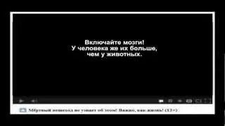 Комментарии к видео "Мёртвый пешеход не узнает..." (для несогласных)