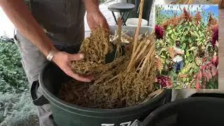 Golondrinas Live Sessions - Seeds & Seed Banks with Lineage Seeds