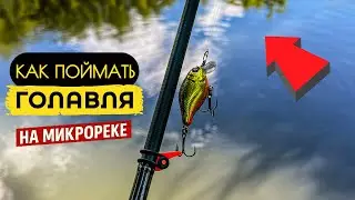 СЕКРЕТЫ ЛОВЛИ ГОЛАВЛЯ, КАК МЫ ЕГО УГОВОРИЛИ  ?✅