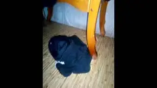 ну вобщем то вот... (чит описание )