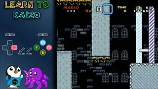 Learn to Kaizo - Test 2 Progression!