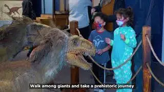 Expedition: Dinosaur
