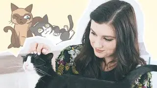 HISTORIA DE UNA ADOPCIÓN ♡ Cómo presentar a dos gatos adultos