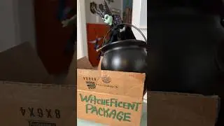 MAIL for Witcheficent 📦  #kidtimestorytime #shortsforfun