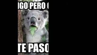 Otro vídeo de gta rolplay