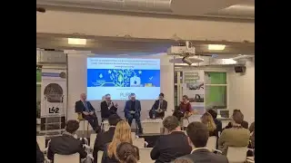 EU production of renewable fuels, road transport, food security, industrial strategic autonomy