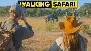 Walking Safaris at Camp Hwange, Zimbabwe | Step into the Wild!