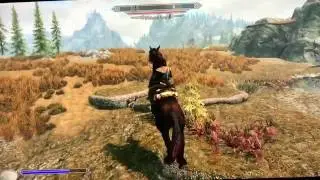 Skyrim Special Edition Playthrough Part 4 "Amren meets an unfortunate fate"