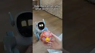 loona robot finding her ball #loona #loonarobot #airobot #petbot #petrobot