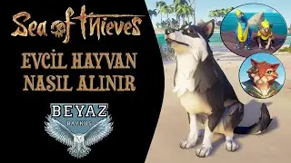 EVCİL HAYVAN NASIL ALINIR | Sea of Thieves Rehber