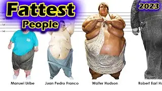 The Fattest People In History|Weight Comparison|Fattest people data