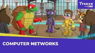 What are Computer Networks? | All About Computers | Tynker