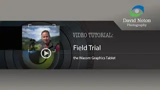 David Noton Photography:  Field Trial, Issue 83 - The Wacom Graphics Tablet