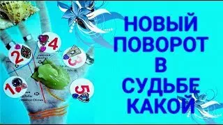 РУНЫ. РАСКЛАДЫ НА СУДЬБУ ПО РУКЕ. https://daniceva.ru/