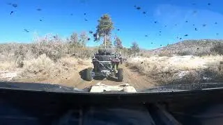 BIG BEAR RUN JAN 28TH 2023