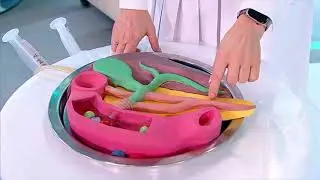 Анонс программы "Здоровье" на 2 февраля 2020 года