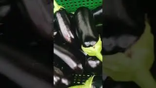 Баклажаны. Цена в августе. г.Хмельницкий. Супермаркет Най-най