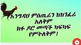 ካፍ ካፍ የምትለቅም / ሀገርኛ የአዝማሪ ሙዚቃ። traditional musi  Masinko eskista.