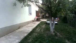 Хаски: догонялки