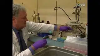 Single procedure quantifies carbohydrates, organic acids and amino acids using metabolomics analysis