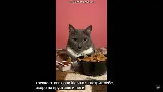 ютуб
