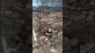 БЛЕК РУМС ГИГАНОТОЗАВР 