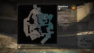 Scope overpass ace