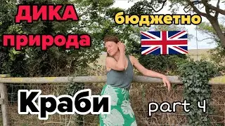 Ловити крабів прямо на узбережжі? Бюджетний відпочинок на морі у Британії. Сувенірні крамнички.