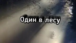 Один в лесу-Майнкрафт сериал 1 серия